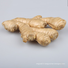 Varieties of Chinese mature ginger